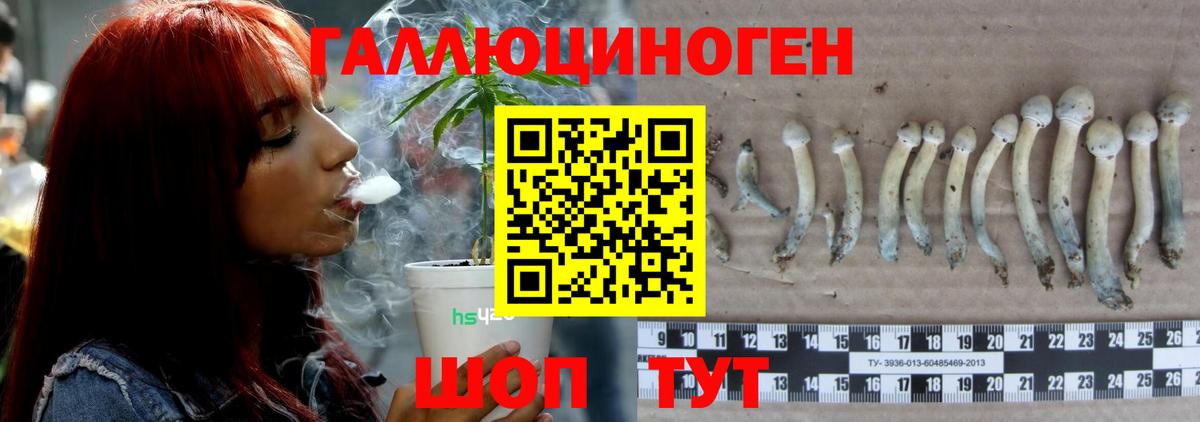 ГАШ  Alpha-PVP СК   Меф МЯУ МЯУ   ЭКСТАЗИ  Вход с VPN  Конопля  Златоуст  КОКАИН 