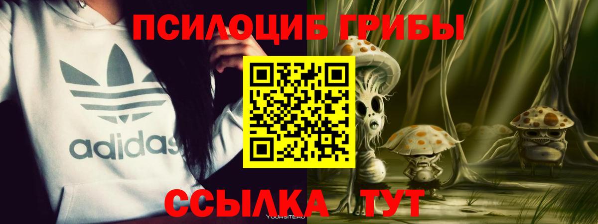 Галлюциногенные грибы Magic Shrooms  Вход с VPN  Златоуст  Псилоцибиновые грибы Cubensis 